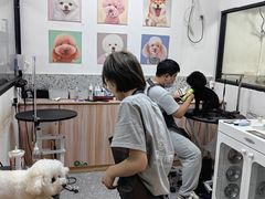 -小呆的宠物店·宠物售卖·宠物寄养(城西店)
