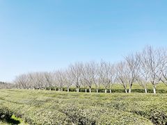 -凤凰沟景区