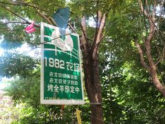 -1982农场