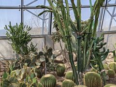 -北京植物园-展览温室