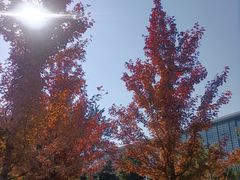 -国家会议中心大酒店