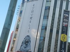 -优衣库(银座店)