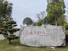 -东岳体育公园