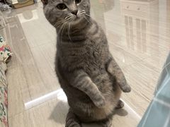 -北京观赏动物医院·24小时大型综合·猫专科·异宠专科