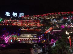 -枇杷园食为鲜火锅(南山店)