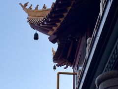 -龙音寺