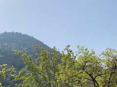 -华清宫景区