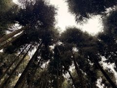 -太阳湾风景区