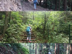 -素山寺森林公园