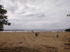 -瑶湖郊野森林公园