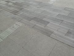 -西湖外事游船(花港观鱼码头)