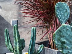 -十一咖啡(青年大街工厂店)