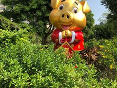 -石排湾郊野公园
