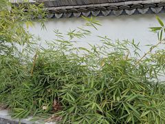 -高淳老街