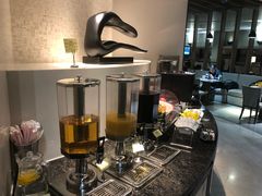 -虹桥机场国航贵宾室v8