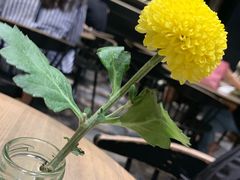 -gaga(深圳南山益田假日广场店)