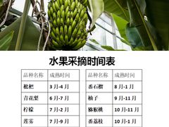 -呀路古热带植物园