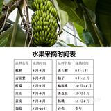 京郊“西双版纳”超🔥遛娃乐园 泼水节&火把节