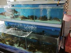 -岩泊渡桂鱼楼活鱼馆