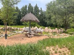 -北京野生动物园