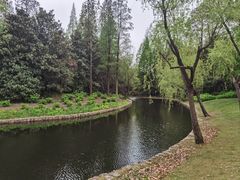 -上海滨江森林公园