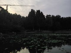 -云岗森林公园