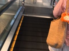 -河内内排国际机场