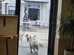 -小意思咖啡店(草桥店)