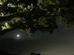 -草山夜未眠景观餐厅