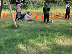 -趣多多宠物公园·宠物训犬学校·宠物寄养