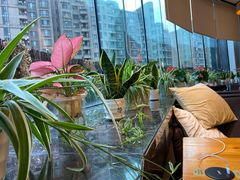 -青山上品咖啡·日式法兰绒手冲(高岛屋百货店)