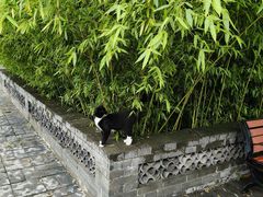 -天宁寺