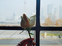 -YUE·6·西式融合餐厅(外滩六号店)