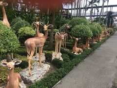 -东芭乐园
