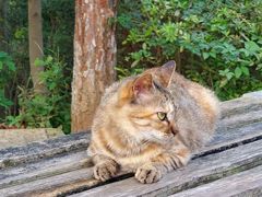 -敬亭山风景名胜区