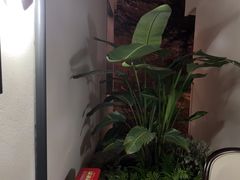 -雅苑中餐厅