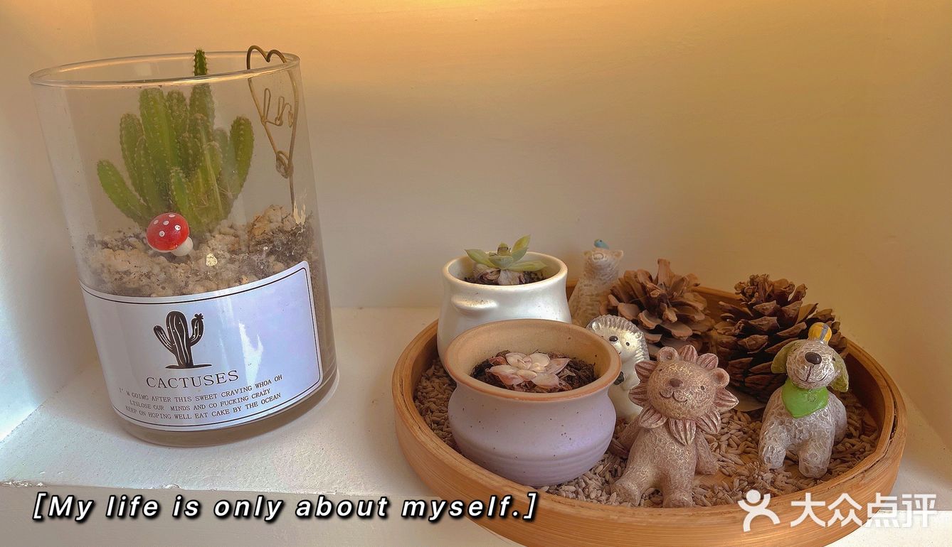 精致女孩必做的美睫