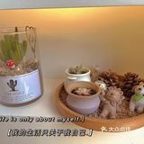 精致女孩必做的美睫