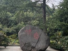 -新洲生态园