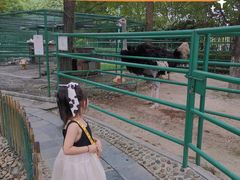 -漓咖啡西餐厅 · 桂林香格里拉