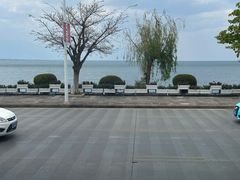 -野菌皇海景野生菌火锅(滨海大道店)
