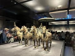 -秦始皇帝陵博物院-丽山园