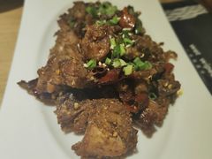 -守柴炉烤鸭(科华中路王府井店)