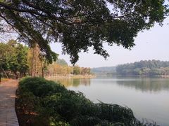 -南国桃园旅游度假区