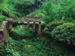 凤栖山康道-凤栖山