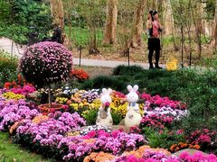 -共青国家森林公园-售票处