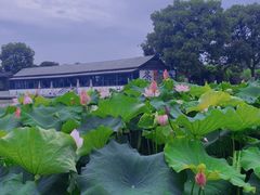 -丝绸小镇荻港古村