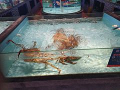 -尚海豆捞(乐虹坊店)