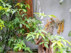 -知物癖(牛王庙店)