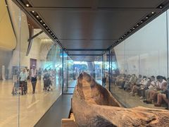 -深海中餐厅(国家海洋博物馆店)